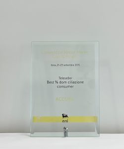 Teleseller best domiciliazione consumer - 2015 Accueil vince il premio Teleseller best domiciliazione consumer